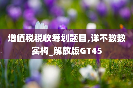 增值税税收筹划题目,详不数数实构_解放版GT45