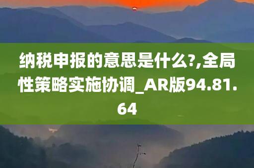 纳税申报的意思是什么?,全局性策略实施协调_AR版94.81.64