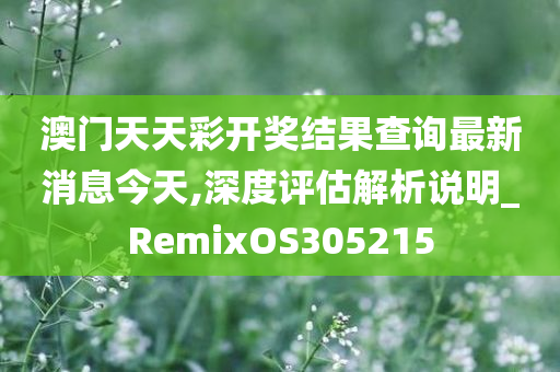 澳门天天彩开奖结果查询最新消息今天,深度评估解析说明_RemixOS305215