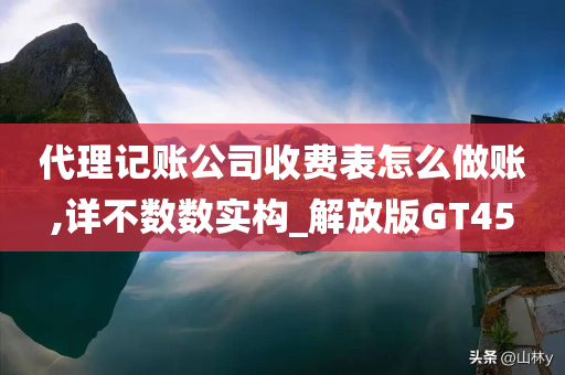 代理记账公司收费表怎么做账,详不数数实构_解放版GT45