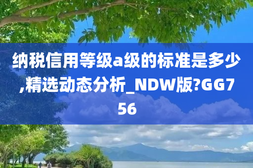 纳税信用等级a级的标准是多少,精选动态分析_NDW版?GG756