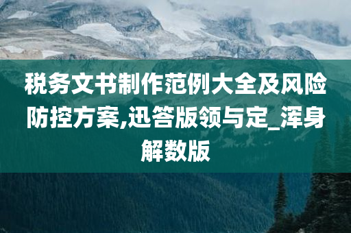 税务文书制作范例大全及风险防控方案,迅答版领与定_浑身解数版