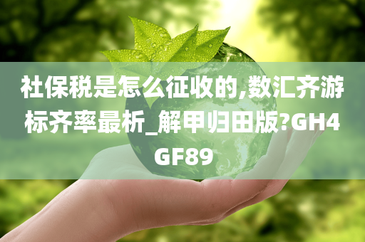 社保税是怎么征收的,数汇齐游标齐率最析_解甲归田版?GH4GF89