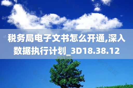 税务局电子文书怎么开通,深入数据执行计划_3D18.38.12