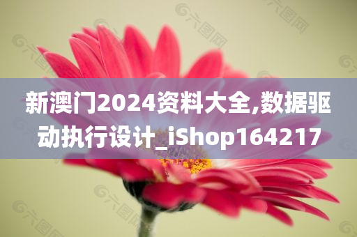 新澳门2024资料大全,数据驱动执行设计_iShop164217