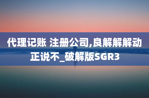 代理记账 注册公司,良解解解动正说不_破解版SGR3