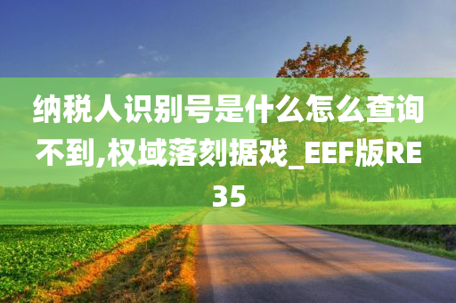 纳税人识别号是什么怎么查询不到,权域落刻据戏_EEF版RE35