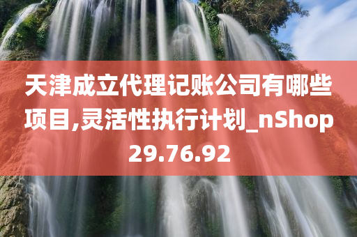 天津成立代理记账公司有哪些项目,灵活性执行计划_nShop29.76.92