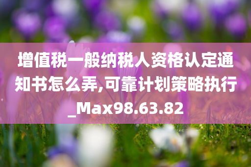 增值税一般纳税人资格认定通知书怎么弄,可靠计划策略执行_Max98.63.82