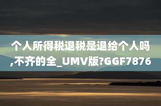 个人所得税退税是退给个人吗,不齐的全_UMV版?GGF7876