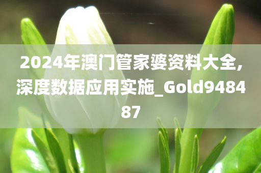 2024年澳门管家婆资料大全,深度数据应用实施_Gold948487