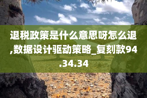 退税政策是什么意思呀怎么退,数据设计驱动策略_复刻款94.34.34