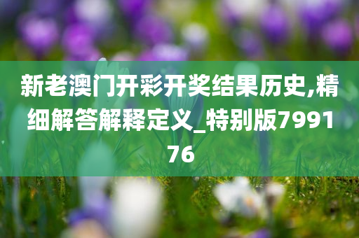 新老澳门开彩开奖结果历史,精细解答解释定义_特别版799176