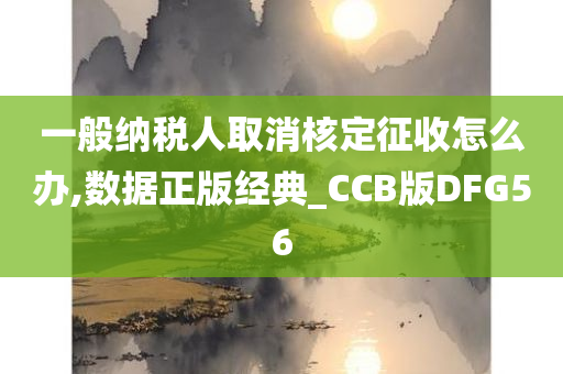 一般纳税人取消核定征收怎么办,数据正版经典_CCB版DFG56