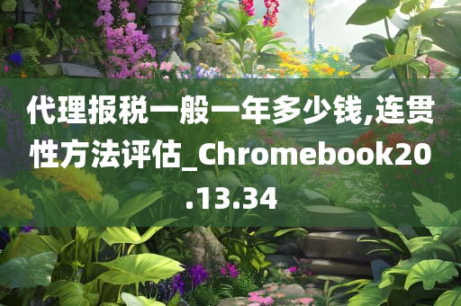 代理报税一般一年多少钱,连贯性方法评估_Chromebook20.13.34