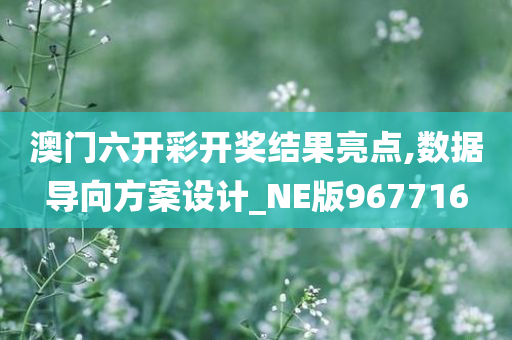 澳门六开彩开奖结果亮点,数据导向方案设计_NE版967716