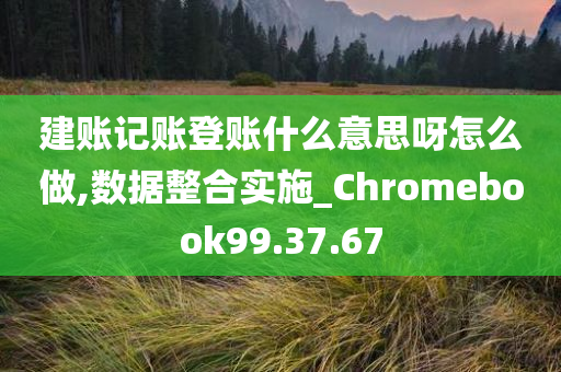 建账记账登账什么意思呀怎么做,数据整合实施_Chromebook99.37.67