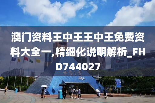 澳门资料王中王王中王免费资料大全一,精细化说明解析_FHD744027