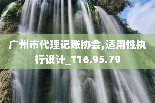 广州市代理记账协会,适用性执行设计_T16.95.79