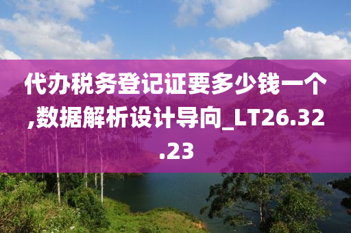 代办税务登记证要多少钱一个,数据解析设计导向_LT26.32.23