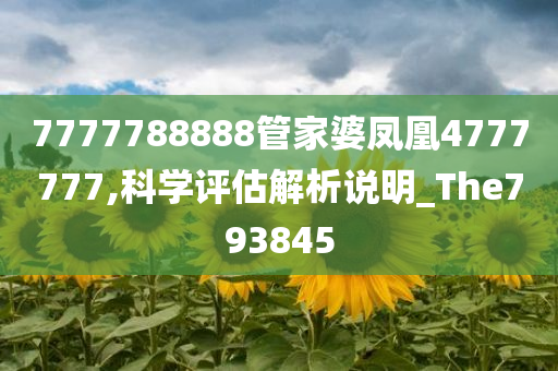 7777788888管家婆凤凰4777777,科学评估解析说明_The793845