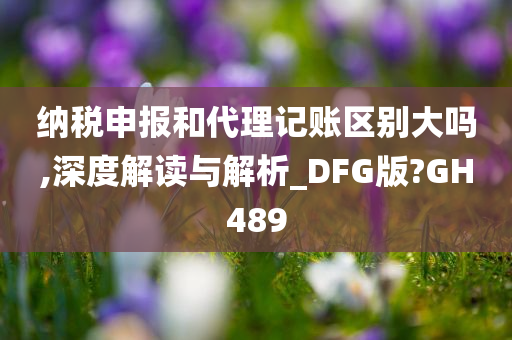 纳税申报和代理记账区别大吗,深度解读与解析_DFG版?GH489