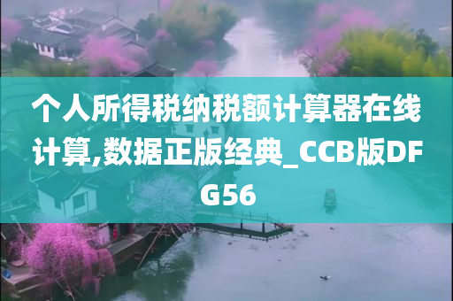 个人所得税纳税额计算器在线计算,数据正版经典_CCB版DFG56