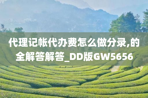 代理记帐代办费怎么做分录,的全解答解答_DD版GW5656