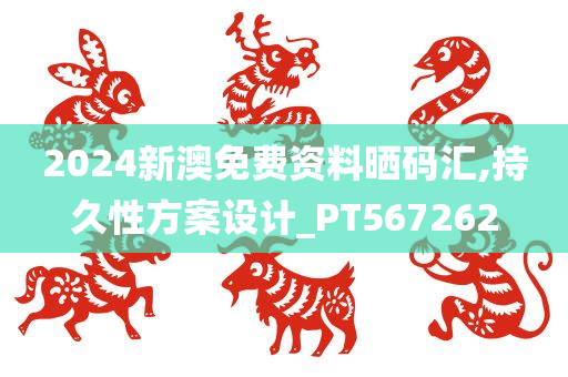 2024新澳免费资料晒码汇,持久性方案设计_PT567262