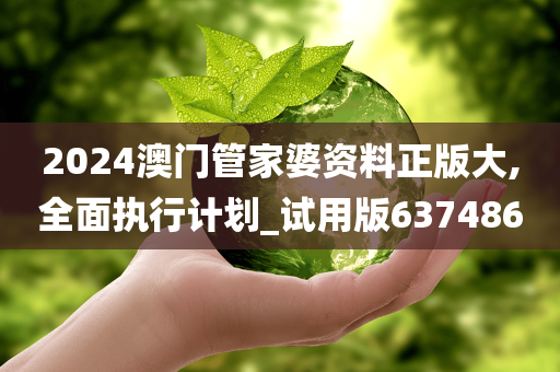 2024澳门管家婆资料正版大,全面执行计划_试用版637486