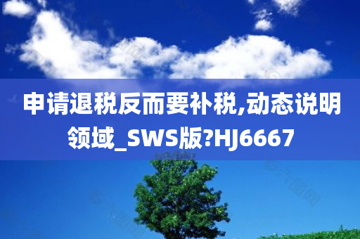 申请退税反而要补税,动态说明领域_SWS版?HJ6667