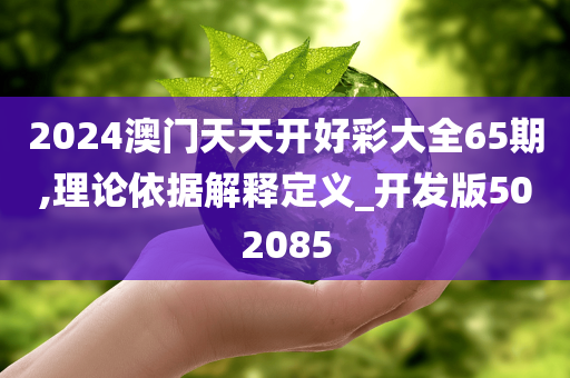 2024澳门天天开好彩大全65期,理论依据解释定义_开发版502085