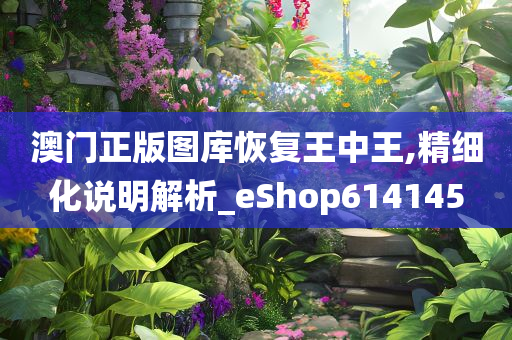 澳门正版图库恢复王中王,精细化说明解析_eShop614145