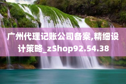 广州代理记账公司备案,精细设计策略_zShop92.54.38