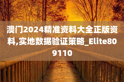 澳门2024精准资料大全正版资料,实地数据验证策略_Elite809110