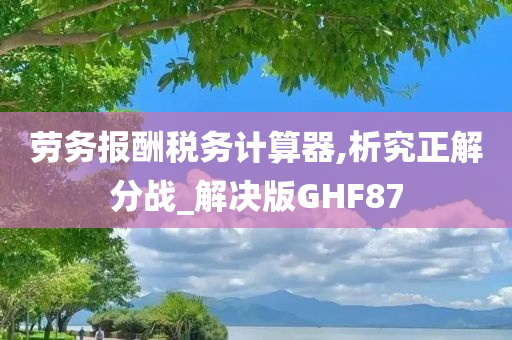 劳务报酬税务计算器,析究正解分战_解决版GHF87