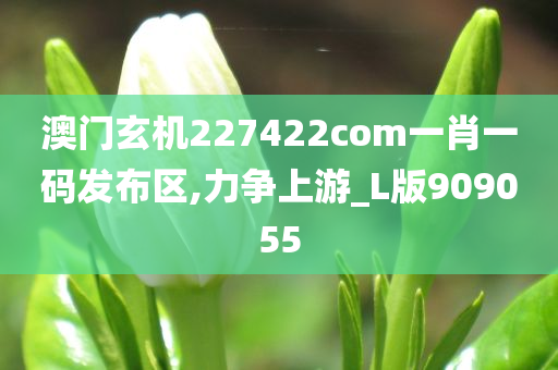 澳门玄机227422com一肖一码发布区,力争上游_L版909055