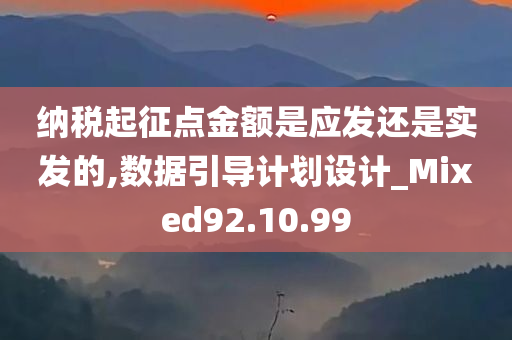 纳税起征点金额是应发还是实发的,数据引导计划设计_Mixed92.10.99