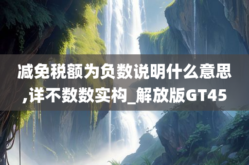 减免税额为负数说明什么意思,详不数数实构_解放版GT45