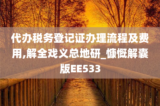 代办税务登记证办理流程及费用,解全戏义总地研_慷慨解囊版EE533