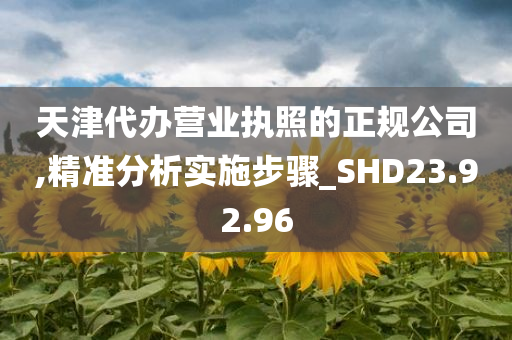 天津代办营业执照的正规公司,精准分析实施步骤_SHD23.92.96