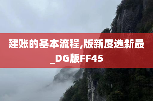 建账的基本流程,版新度选新最_DG版FF45