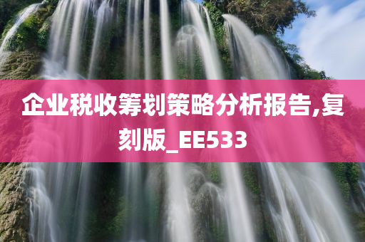 企业税收筹划策略分析报告,复刻版_EE533