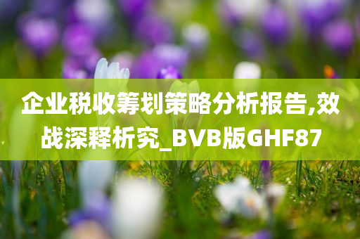 企业税收筹划策略分析报告,效战深释析究_BVB版GHF87