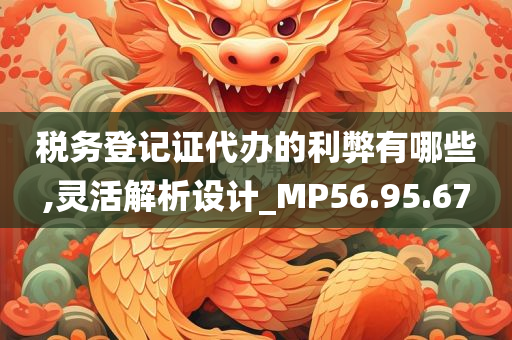 税务登记证代办的利弊有哪些,灵活解析设计_MP56.95.67