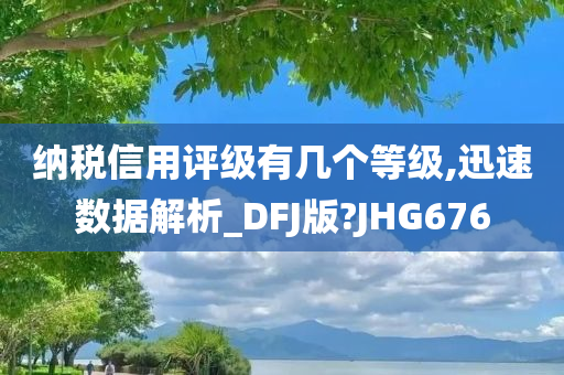 纳税信用评级有几个等级,迅速数据解析_DFJ版?JHG676