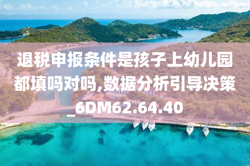 退税申报条件是孩子上幼儿园都填吗对吗,数据分析引导决策_6DM62.64.40