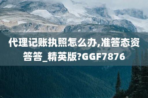 代理记账执照怎么办,准答态资答答_精英版?GGF7876