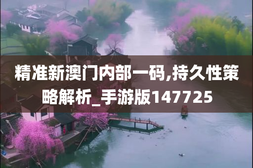 精准新澳门内部一码,持久性策略解析_手游版147725