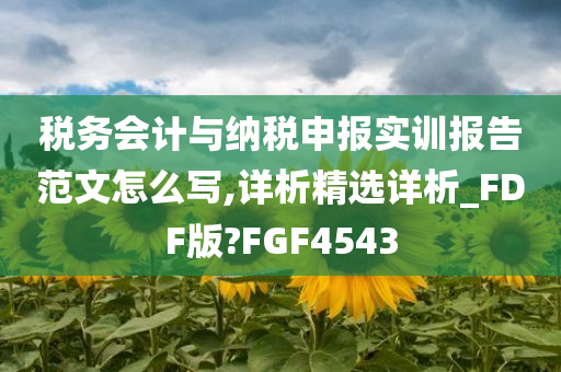 税务会计与纳税申报实训报告范文怎么写,详析精选详析_FDF版?FGF4543